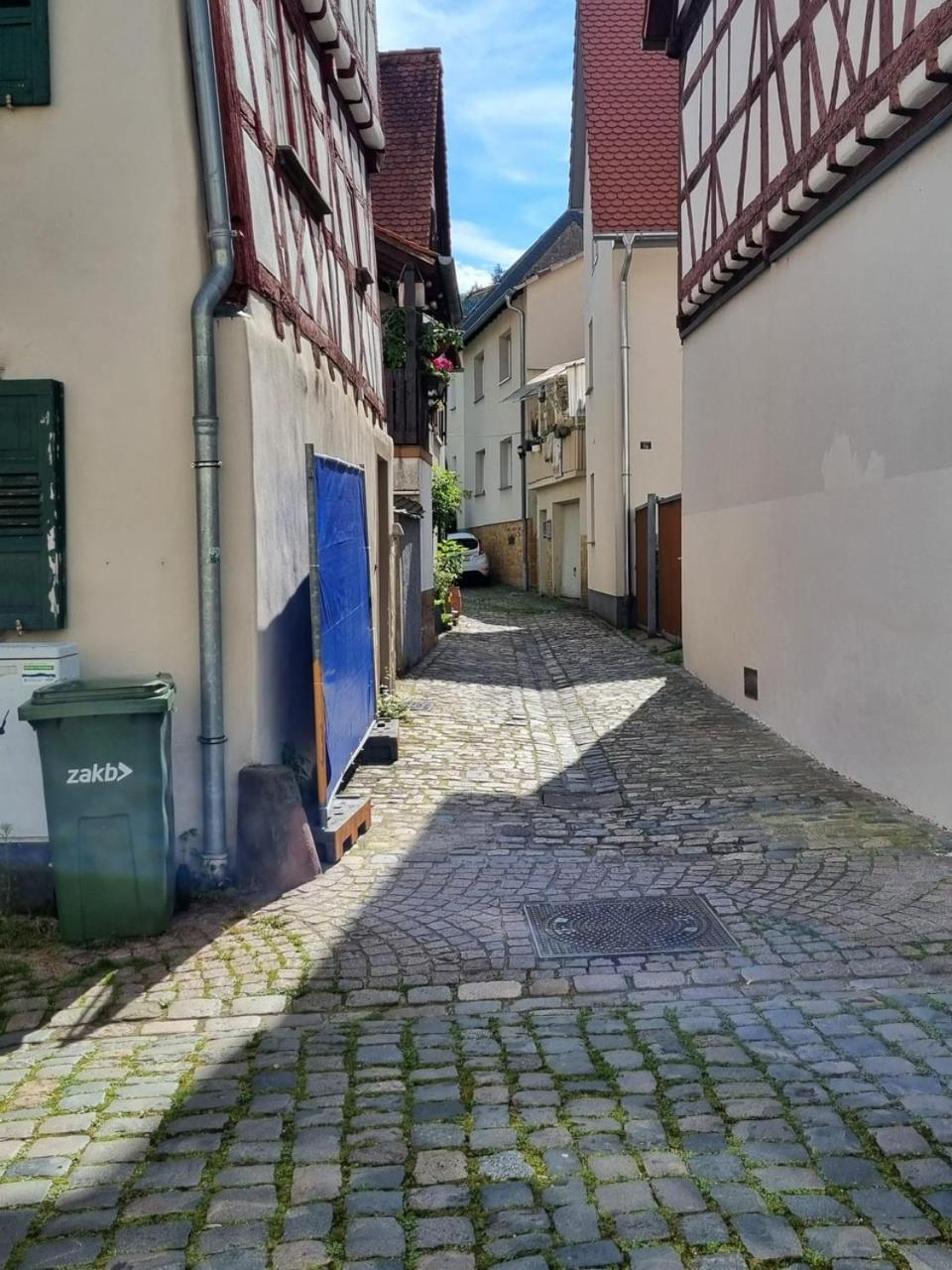 Ferienwohnung Heppenheim An Der Bergstrasse Whg 1 المظهر الخارجي الصورة